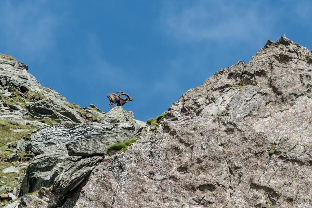 Landhaus Alpenrose - Feriendomizile Pichler Heiligenblut Bagian luar foto